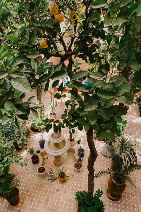 Riad Maison 24 Marrákes Kültér fotó